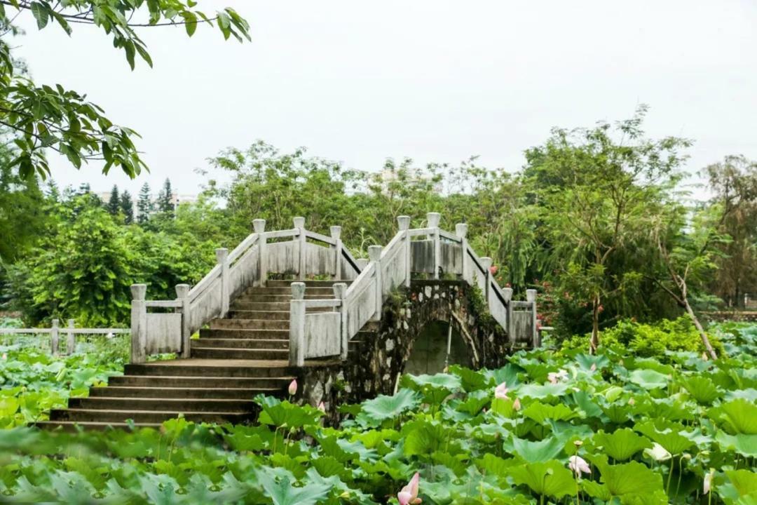Taishan Bojue Hotel Экстерьер фото
